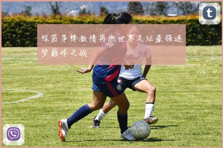 绿茵争锋激情再燃世界足坛豪强逐梦巅峰之战