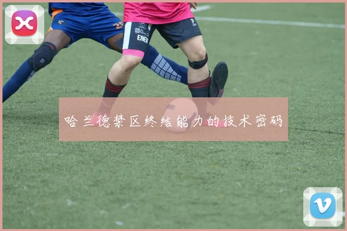 哈兰德禁区终结能力的技术密码