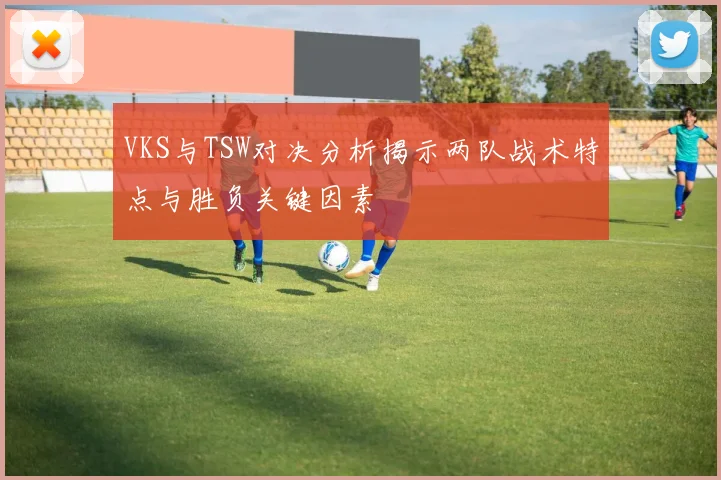 VKS与TSW对决分析揭示两队战术特点与胜负关键因素