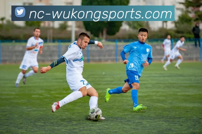 多媒体互动体验